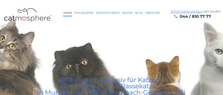 catmosphere-katzensalon-katzenbaden-ch